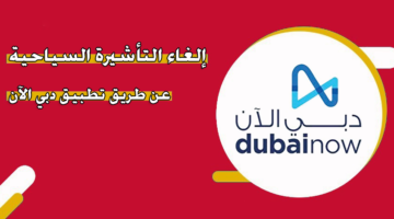 إلغاء التأشيرة السياحية عن طريق تطبيق دبي الآن