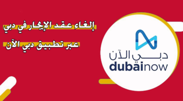 إلغاء عقد الإيجار في دبي عبر تطبيق دبي الآن
